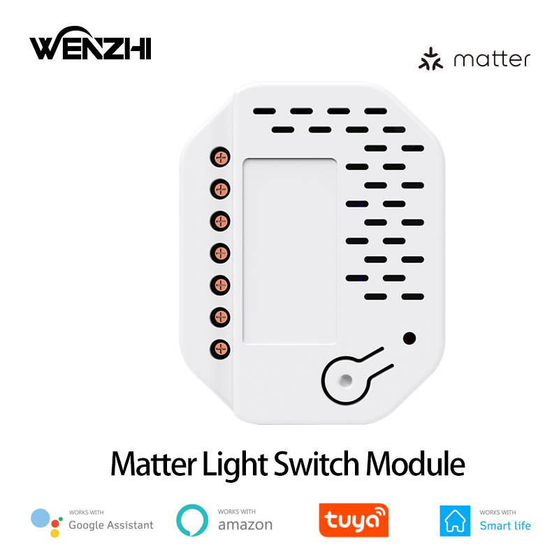 Matter Lichtschaltermodul 2-Ga – Smart Relay Tuya Bewertung und Preis